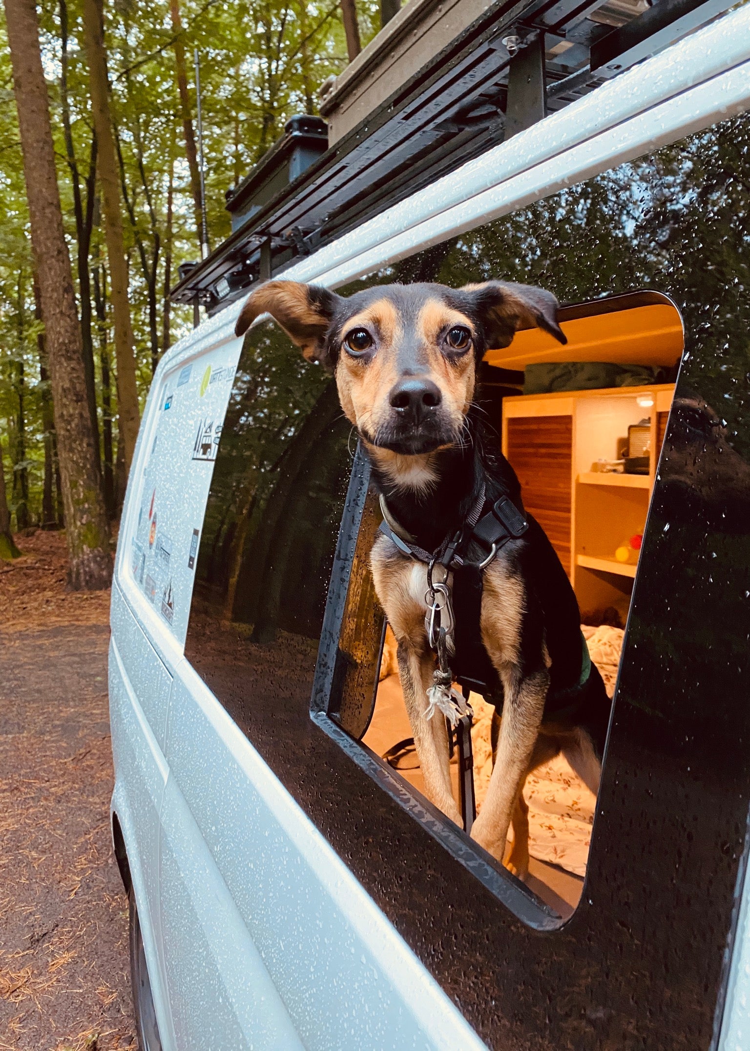 Right Opening Window + Fitting Kit for VW Transporter T5 to T6.1 (2003-2024)